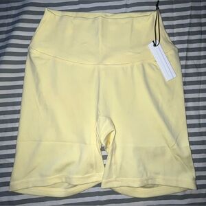 Paragon Fitwear Reluna Original Sculptseam Short 6" in Daisy Size M